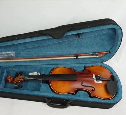 Violina - profesionalna violina...