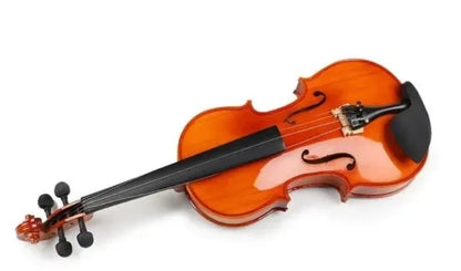 Violina - profesionalna violina...
