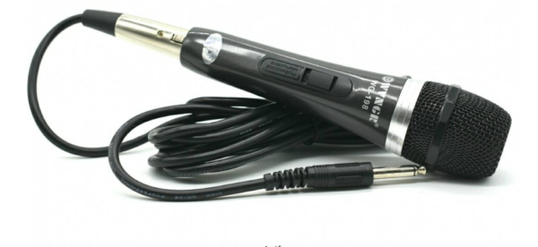 Mikrofon zicani WVNGR WG-198