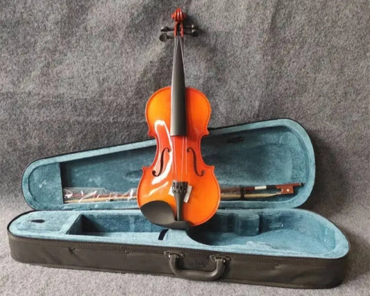 Violina - profesionalna violina...